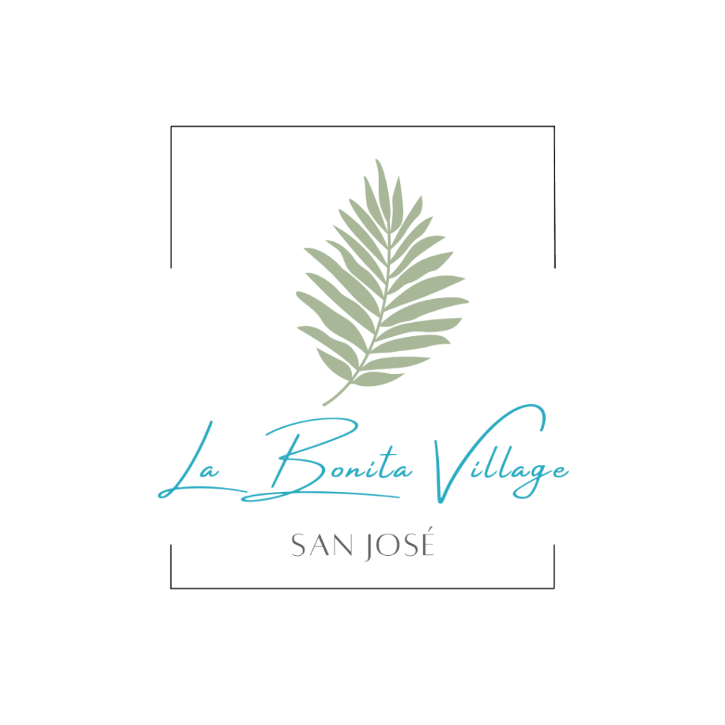 La Benite Rd Confirmación solicitud de reserva La Bonita San José - La Bonita Village RD