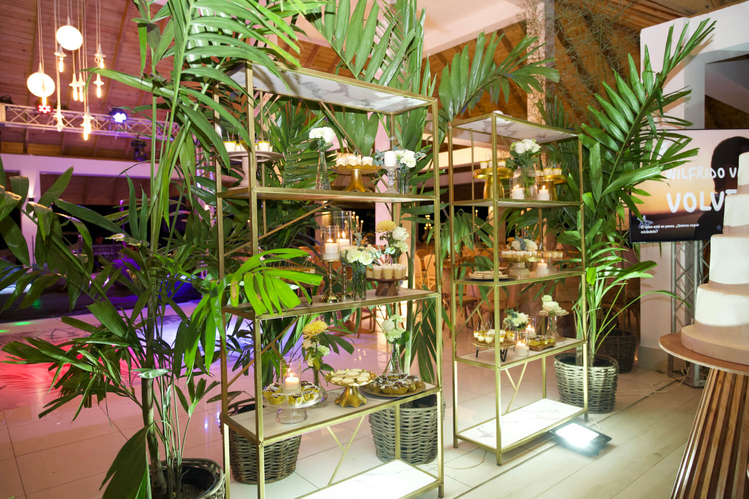 salon de eventos en santiago rodriguez 7
